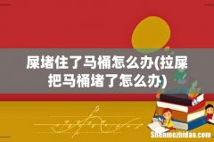 拉屎把马桶堵了怎么办 屎堵住了马桶怎么办