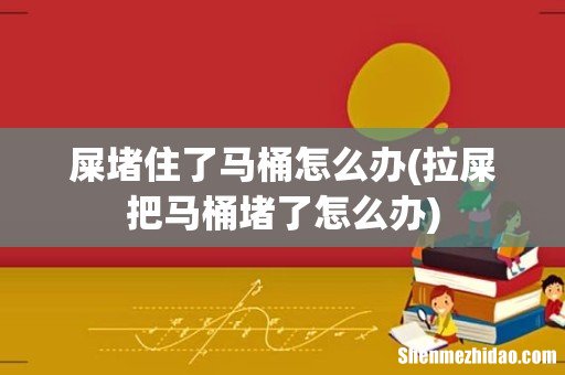 拉屎把马桶堵了怎么办 屎堵住了马桶怎么办