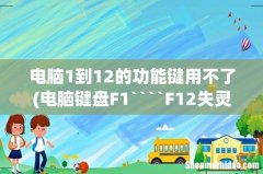 电脑键盘F1````F12失灵`打字左手边1```9数字键失灵``是什么原因 电脑1到12的功能键用不了
