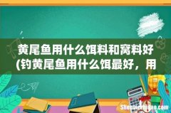 钓黄尾鱼用什么饵最好，用什么钩型好 黄尾鱼用什么饵料和窝料好