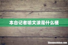 本台记者喻文波是什么梗