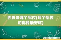 哪个部位的排骨最好吃 腔骨是哪个部位