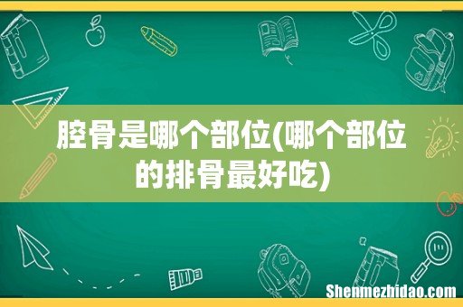 哪个部位的排骨最好吃 腔骨是哪个部位