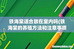 铁海棠的养殖方法和注意事项 铁海棠适合放在室内吗