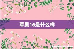 苹果16是什么样
