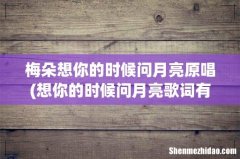 想你的时候问月亮歌词有谁知道？ 梅朵想你的时候问月亮原唱