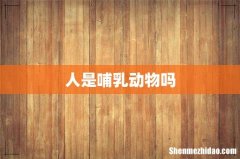 人是哺乳动物吗