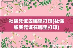 社保缴费凭证在哪里打印 社保凭证去哪里打印
