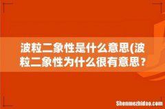 波粒二象性为什么很有意思？ 波粒二象性是什么意思