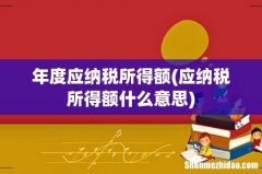 应纳税所得额什么意思 年度应纳税所得额