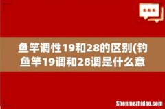 钓鱼竿19调和28调是什么意思，哪个好 鱼竿调性19和28的区别