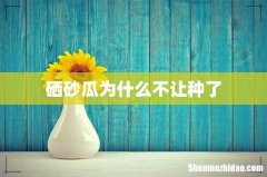 硒砂瓜为什么不让种了