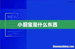 小厨宝是什么东西