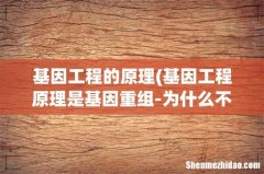 基因工程原理是基因重组-为什么不是基因突变中的增添- 基因工程的原理