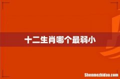 十二生肖哪个最弱小