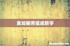 鱼加偏旁组成新字