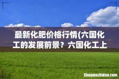 六国化工的发展前景？六国化工上市时候股价？六国化工行情怎么样？ 最新化肥价格行情