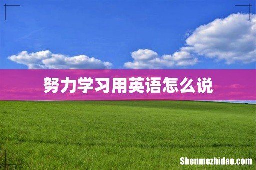 努力学习用英语怎么说
