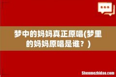 梦里的妈妈原唱是谁？ 梦中的妈妈真正原唱