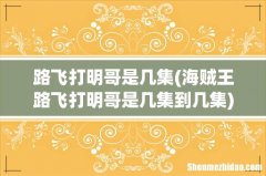 海贼王路飞打明哥是几集到几集 路飞打明哥是几集