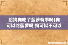 狗可以吃菠萝吗 狗可以不可以吃菠萝 给狗狗吃了菠萝有事吗