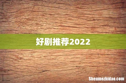 好剧推荐2022