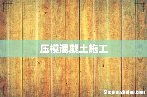 压模混凝土施工