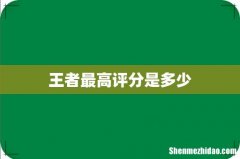 王者最高评分是多少