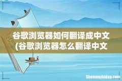 谷歌浏览器怎么翻译中文 谷歌浏览器如何翻译成中文