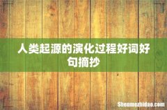 人类起源的演化过程好词好句摘抄