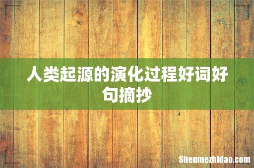 人类起源的演化过程好词好句摘抄