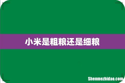 小米是粗粮还是细粮