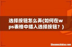 如何在wps表格中插入选择按钮？ 选择按钮怎么弄