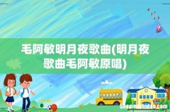 明月夜歌曲毛阿敏原唱 毛阿敏明月夜歌曲