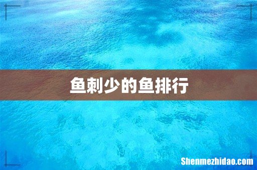 鱼刺少的鱼排行