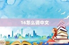 16怎么调中文