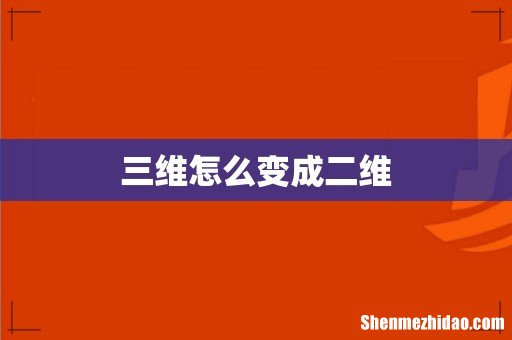 三维怎么变成二维