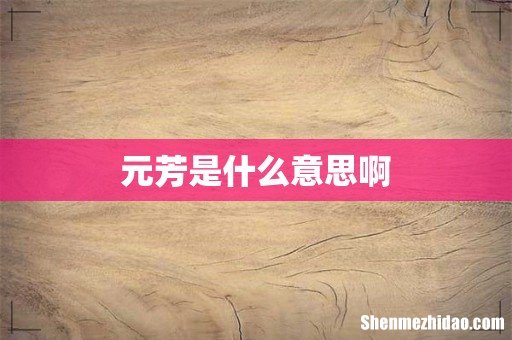 元芳是什么意思啊