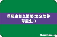 怎么培养草履虫- 草履虫怎么繁殖