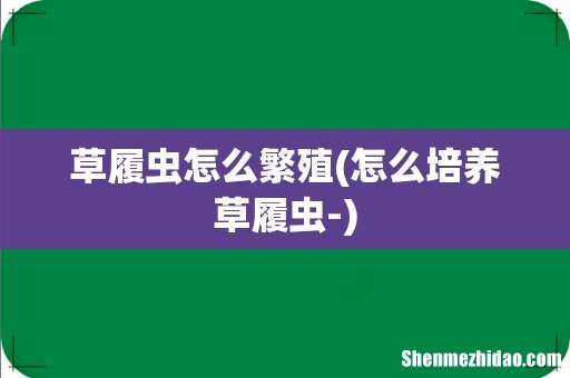 怎么培养草履虫- 草履虫怎么繁殖