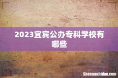 2023宜宾公办专科学校有哪些