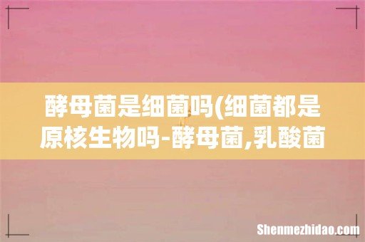 细菌都是原核生物吗-酵母菌,乳酸菌是细菌吗- 酵母菌是细菌吗