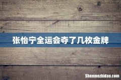 张怡宁全运会夺了几枚金牌
