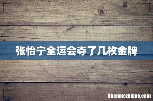 张怡宁全运会夺了几枚金牌