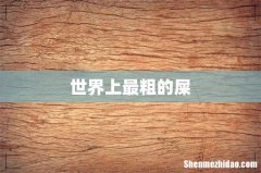 世界上最粗的屎