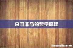白马非马的哲学原理