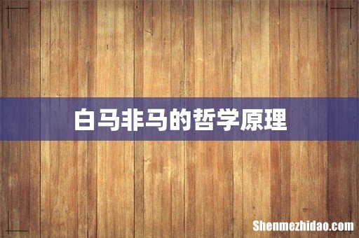 白马非马的哲学原理