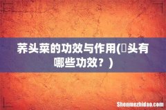 藠头有哪些功效？ 荞头菜的功效与作用