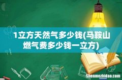 马鞍山燃气费多少钱一立方 1立方天然气多少钱