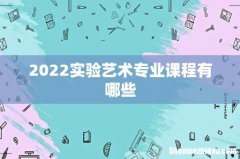 2022实验艺术专业课程有哪些